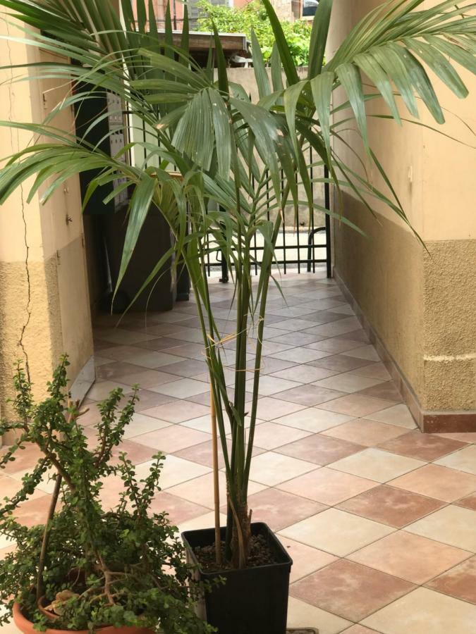 Garden Carras Apartment Nisa Exterior foto